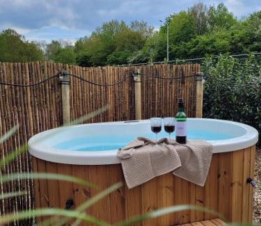 Raar House | Tinyhouse 2 pers met hottub