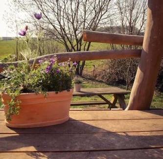 Nottuln House | Tinyhouse Zirkuswagen- Kotten Kunterbunt