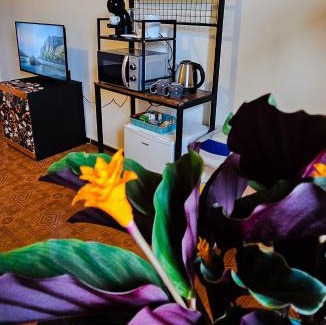 Podenzano House | Tiriticco B&B