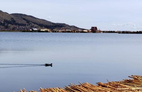 Puno Cabin | Titicaca Jutma Lodge