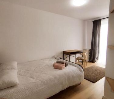 Sinnicoara Apartment | To Airport
