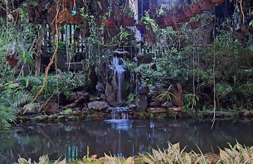 A Luoi House | TO NI - NGUYEN homestay A Luoi