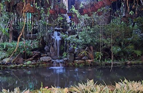 A Luoi House | TO NI - NGUYEN homestay A Luoi