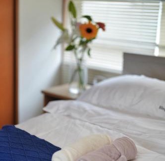 Oji Villa | Tokyo Tsuruga Villaー東京雅鶴