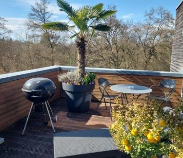 Heilbronn Apartment | Tolle Penthouse Wohnung direkt am Park