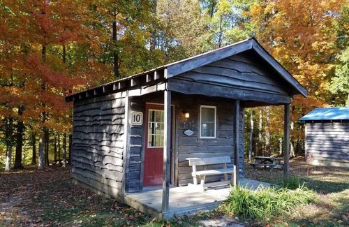 Helmsburg Cabin | "Tom T" Camping Cabin #10 | Pet Friendly