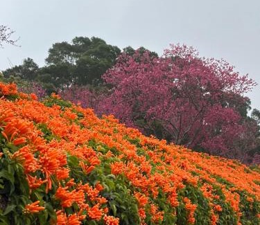 Gongguan House | Tong Xin Farmstay
