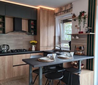Tractorul Apartment | Tonic Studio Coresi