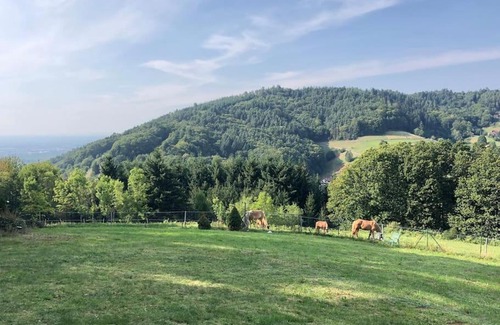 Buehlertal Apartment | Top ausgestattete Wohnung in Traumlage mit grandioser Aussicht