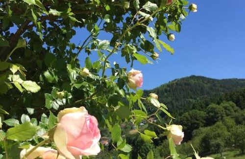 Buehlertal Apartment | Top ausgestattete Wohnung in Traumlage mit grandioser Aussicht