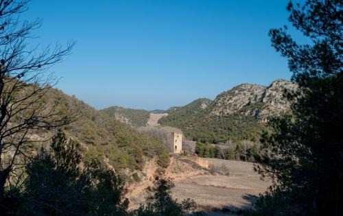 Berge House | Torre piquer