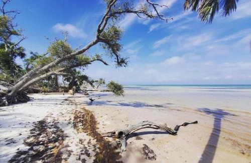 Cape San Blas House | Tortuga Tillys