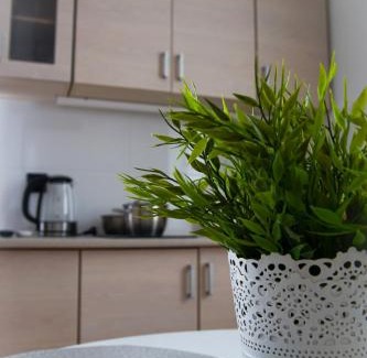 Chelmno Apartment | Toruńska 32