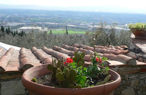 Calenzano Other | total relaxation amid the panoramic olive groves near Florence