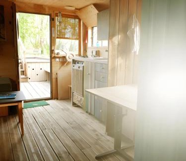 Brissac-Quince Boat Rental | Toue Cabanée Au Bord D'un Etang