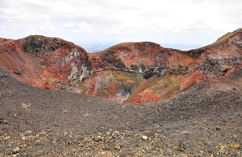 Puerto Villamil House | Tour to volcan, swim with sharks - Marriat #3
