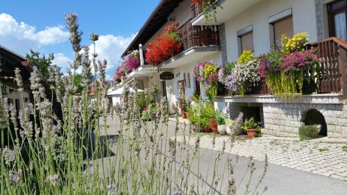 Narin House | Tourist farm Pri Andrejevih