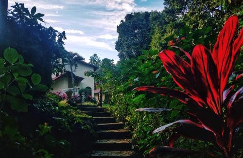 Altos del Maria Apartment | Tower Studio in the Treetops in Altos del Maria Panama