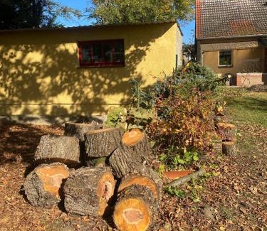 Lubstorf Apartment | Träumen unter Bäumen - Omas lütte Obstbutze am See