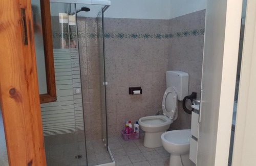 Lucca Apartment | Tra gli olivi