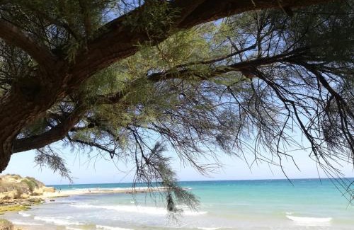 Lendinuso Apartment | Tra Vento e Mare