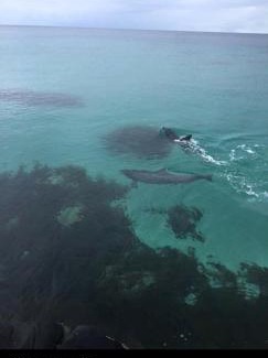 Penneshaw House | Trading Places Kangaroo Island