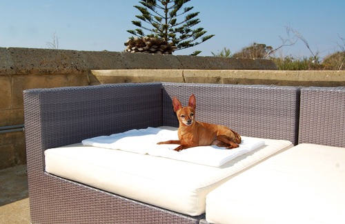 Santu Pietru Villa | Traditional Farmhouse of over 400 years with private pool in Gozo