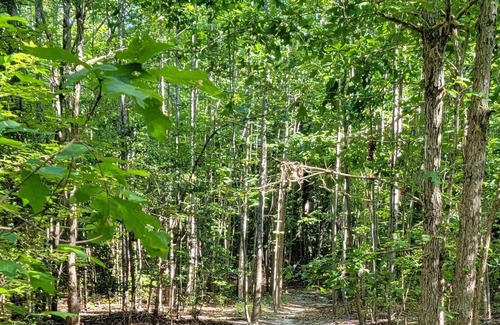 Saint Stephens Church House | Trails and Tails- Affordable Nature and Seclusion Near Amusement Park, and More!