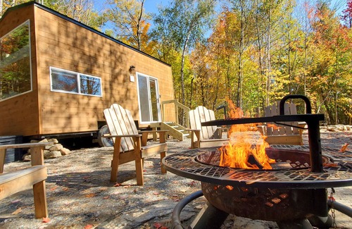 Dorchester Apartment | Trailside Stays - Tiny House in the Woods-Escape to Nature. Cardinal