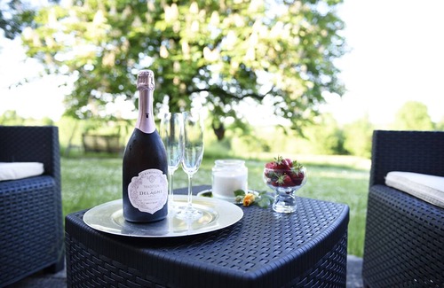 Saint-Colomb-de-Lauzun Cottage | Tranquil Gite with private pool and country views