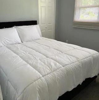 Newark Apartment | Tranquil Haven