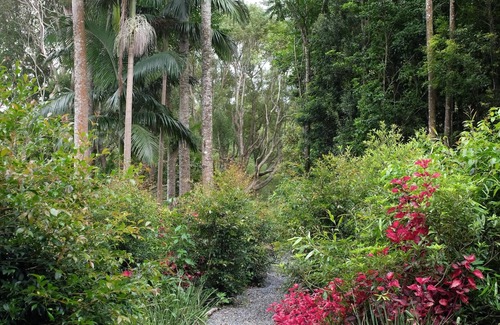 Binna Burra Apartment | Tranquil rainforest apartment, close to Bangalow village, 15 mins to Byron Bay