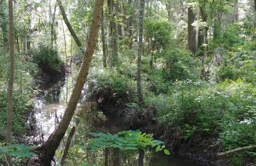 Hardeeville Cottage | Tranquil Savannah River Cottage w/Views+Breakfast
