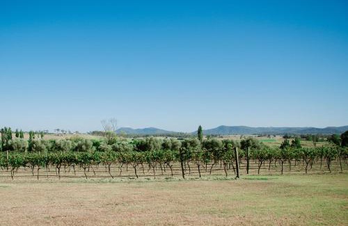 Luskintyre House | Tranquil Vale Vineyard