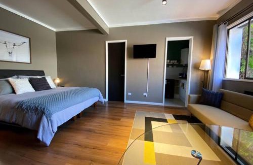 Lastarria Apartment | Tranquilo Estudio en Lastarria