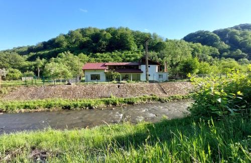 Petrosani House | Transilvania 10 - Casa Poarta Văii Jiului