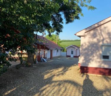 Sacueni House | Transylvanian Dreams