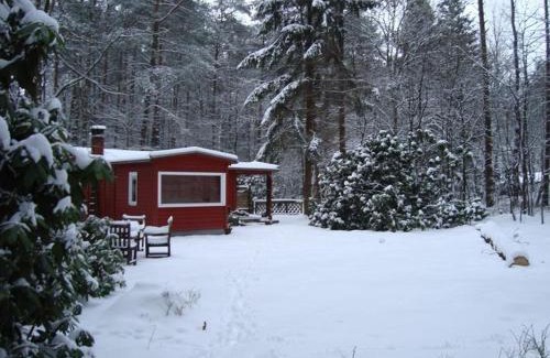 Buchholz in der Nordheide House | Traum Waldhaus
