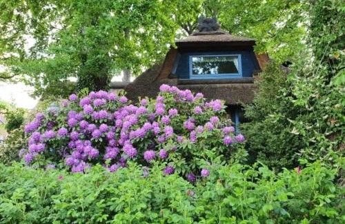Sankt Dionys House | Traumhaftes Reetdachhaus "Grote Eken" in der Lüneburger Heide