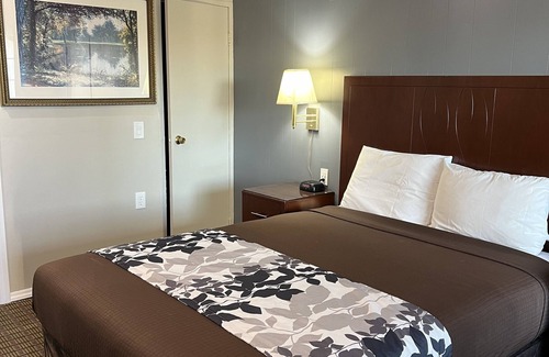 Downtown Eugene Hotel | Travelers Inn Eugene University