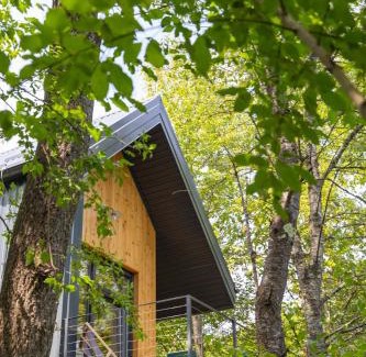 Slunj Apartment | Tree Elements treehouse retreat