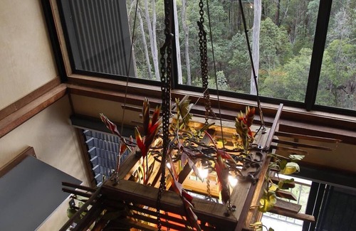 Austinville House | Tree House #4 Red,Private three levelled building with BBQ ,Smart TV, kitchen