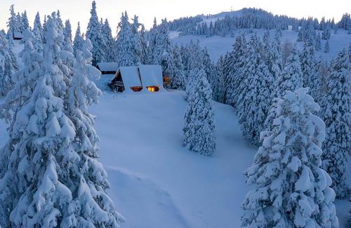 Ambroz pod Krvavcem House | Tree House Alpinka Krvavec