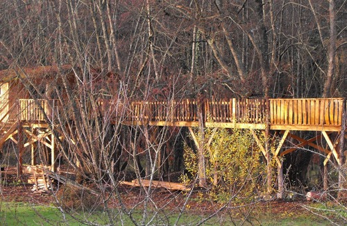 Allons Cabin | Tree house