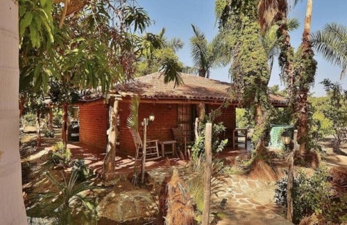 Todos Santos House | TREE HOUSE located on Rancho Danza del Sol
