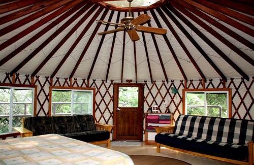 Burnet Other | Tree House Yurt