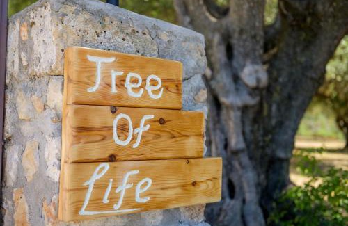 Eleios-Pronnoi House | Tree of Life