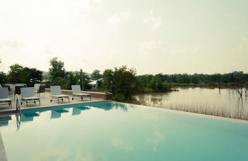 Damoy Other | Tree of Life Ramvilas, Bandhavgarh