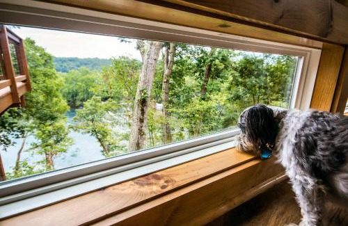 Luray House | Tree Top cabin on the Shenandoah River