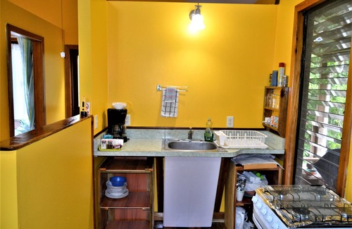 San Ignacio House | Tree Top Home In A Jungle Like Oasis in San Ignacio, Start Your Adventure Here